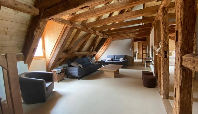 CHARACTER GITE with TERRACE and GARDEN, SPACIOUS and QUIET