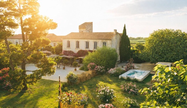 Charming, authentic farmhouse in the Camargue with a swim spa and pool