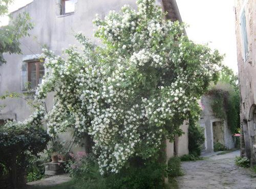 Chez Marjolaine