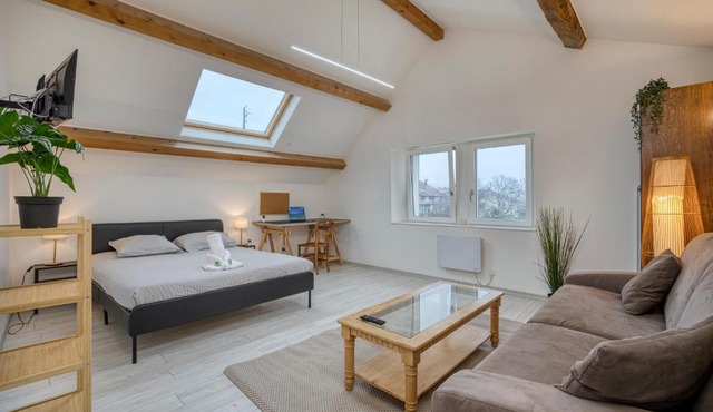 COLIVING - bedroom Salon & TV