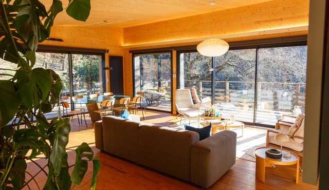 Contemporary wooden house