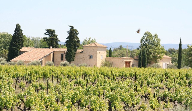 Cottage 6-8 people, swimming pool, in the heart of a vineyard, at the foot of Ventoux Provence