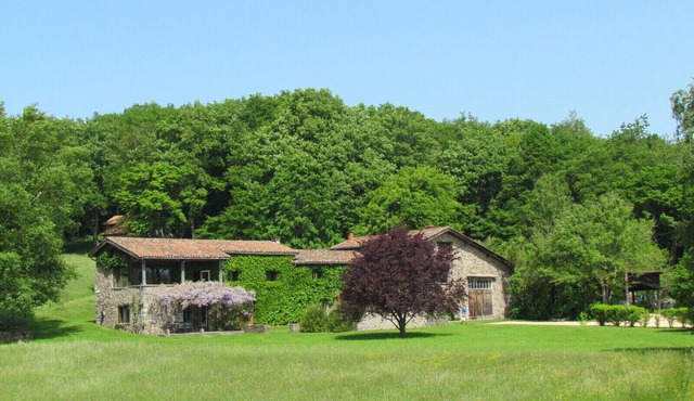 Cottage XXX in the middle of the woods