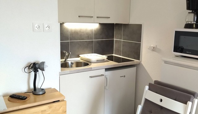Cozy studio for 3, Prapoutel center