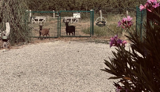 " Domaine des chevrettes roulotte romantique"