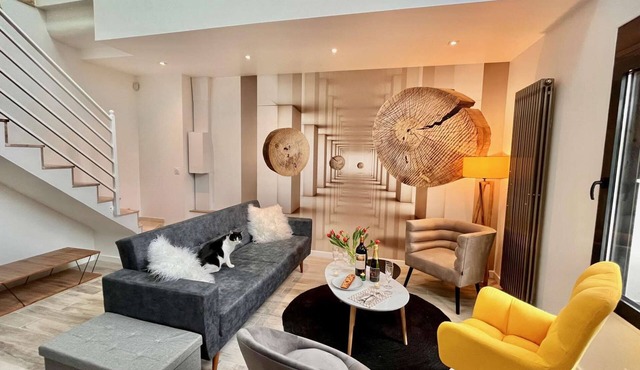Duplex 6P - 4km Porte de Versailles