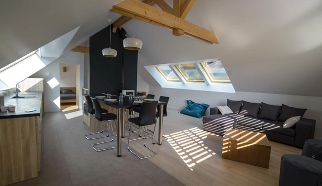Duplex in house for 4-6 people - View of Lake Annecy - Beach 200 m away in Menthon-Saint-Bernard