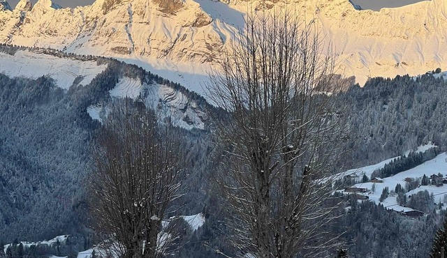 Family chalet in the Alps with great views and 3 distinctive living spaces.