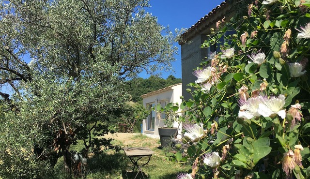 Gîte 10 minutes from Vaison la Romaine