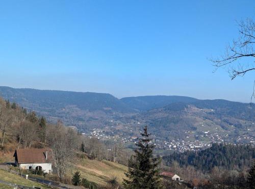 Gîte authentique à la montagne pour 10 pers. avec spa - FR-1-589-830