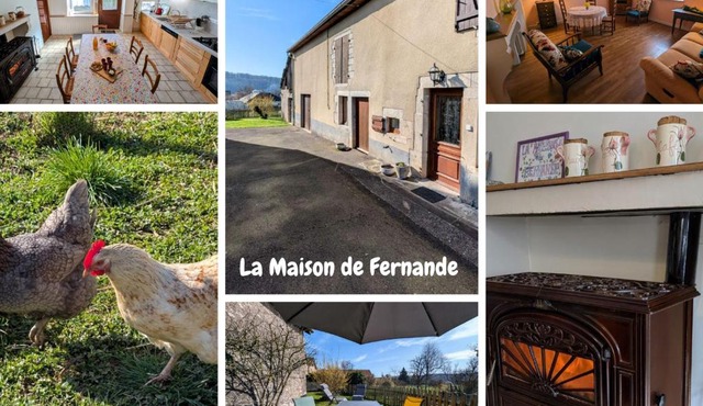 Gîte familial rénové avec jardin au cœur de la Vallée de la Saône - FR-1-583-467