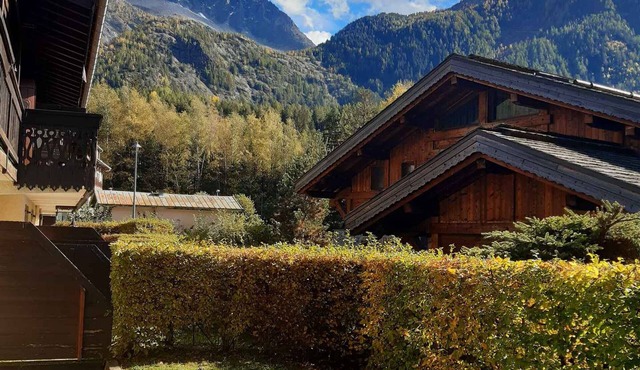 Garden Apartment Chamonix with parking and Mont Blanc view