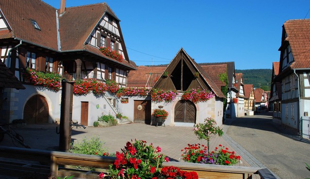 Gite du Vignoble- 6