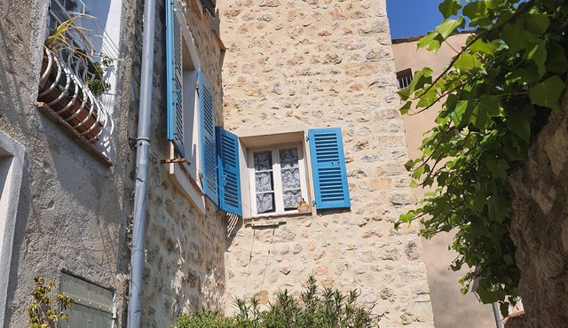 Gite La tour des remparts sur le chemin de ronde de Bargemon exp sud vue nature