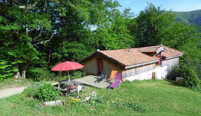 Gites des Pics: the Black Pic - panoramic view