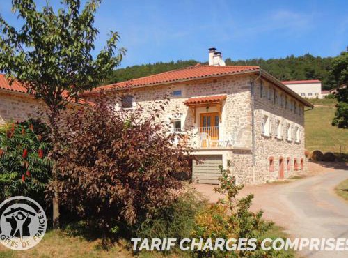 Grand Gîte 6 Chambres avec Cheminée, Animaux Acceptés, Campagne Lyon-Roanne - FR-1-496-65