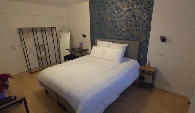 Grande chambre calme et confortable Centre Strasbourg Gare