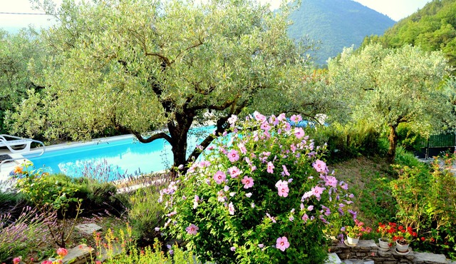 Holiday apartment in the hills behind Nyons f 2 Pers., Pool, with beautiful view