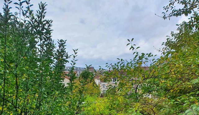 Homerez - House in Villeneuve-Saint-Georges
