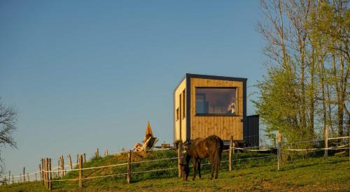 Homnest - Brise Jurassienne - 20 min Lacs & Cascade