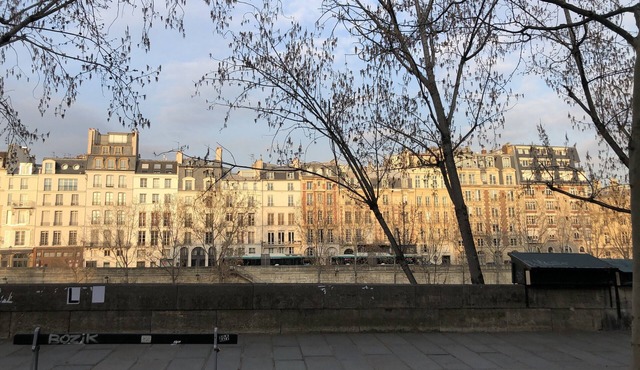 In the heart of historic Paris, next to Notre Dame, charm and sophistication. Air-conditioned