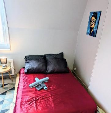 Jolie chambre tout confort et calme ! à pied , 5min de la gare ! de la cathédrale ! et des bords de Loire ! localisation top ! MAIS merci de BIEN lire ma présentation personnelle, car le site impose la sienne, lire jusqu'à section profil