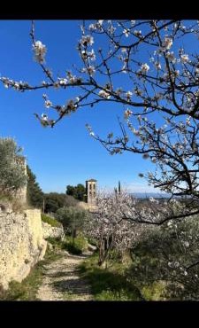 L'oustau des balmes