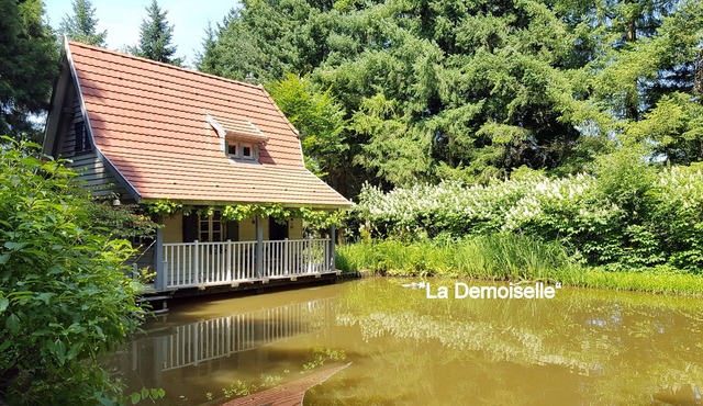 La Demoiselle,natural freshness between forest and ponds,in a reserved ecosystem