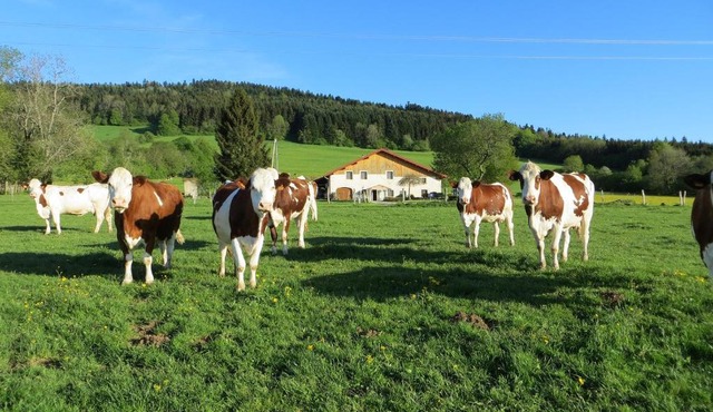 La ferme du bonheur