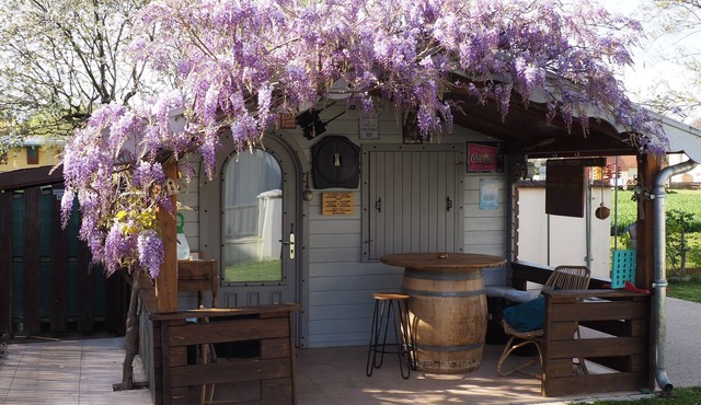 LA P'tiote Cabane Ecoresponsable Entre Vignes ET Saône