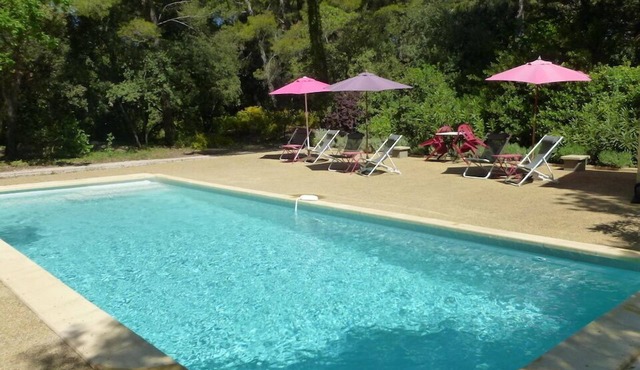 La Pïchoune - 1 bro - Swim. Pool - Large Garden - Wooded prop. - A gem!