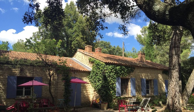 LA TRES GRANDE PEYRIERE - stone villa w large pool, large wooded prop, 3 brm