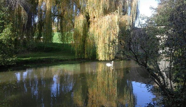 Le Clos des Cygnes