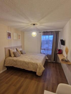 Le Cosy 209 des Logis de Paray Studio Downtown