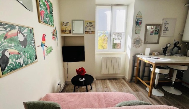 Le Cosy, Rives Entre Lyon et Grenoble, lit Queen 160, 4 pers, Calme côté jardin
