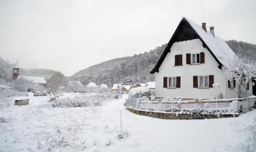 Le Gîte de l'Ecureuil