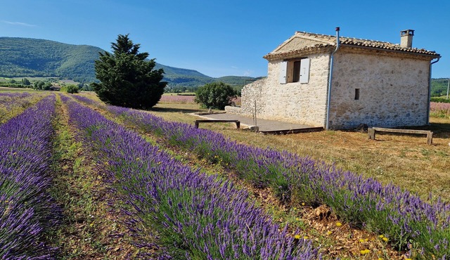 Le Grangeon des Hermas an exceptional, peaceful spot on the Sault plain