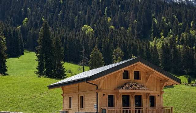 Le Gypaète, Prodains, Morzine