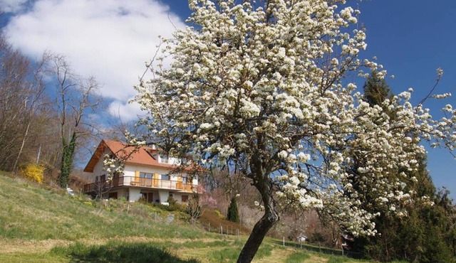 Le Merle Enchanteur