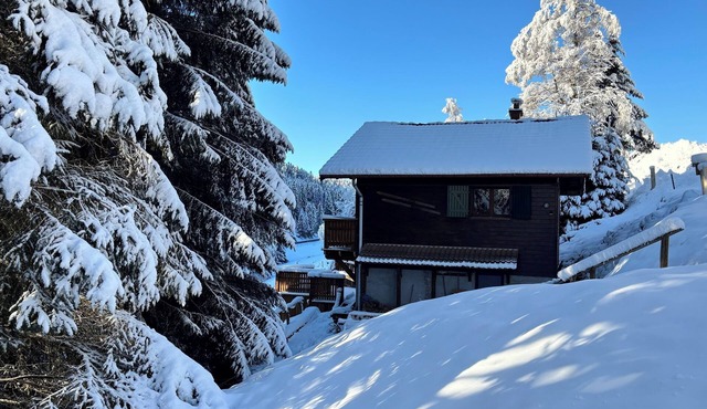 Le Valtin - Family chalet among the fir trees