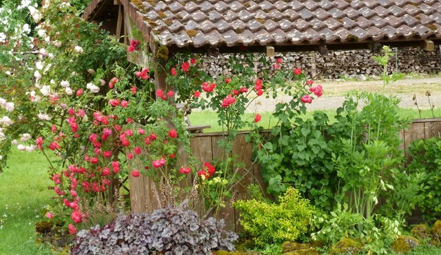 Les Cigales Chambre d'Hote