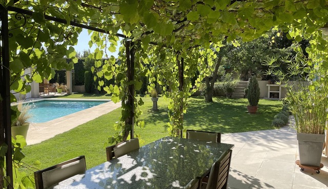 Les Oliviers en Provence