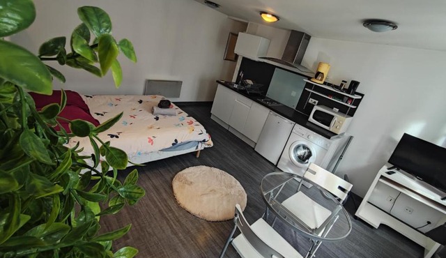 Les Ronchaux Studio Hyper Centre WiFi