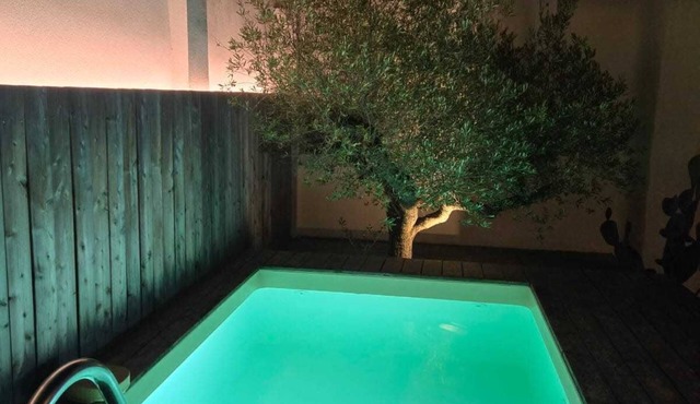 Loft Atypique - Piscine - 9p -Tlse