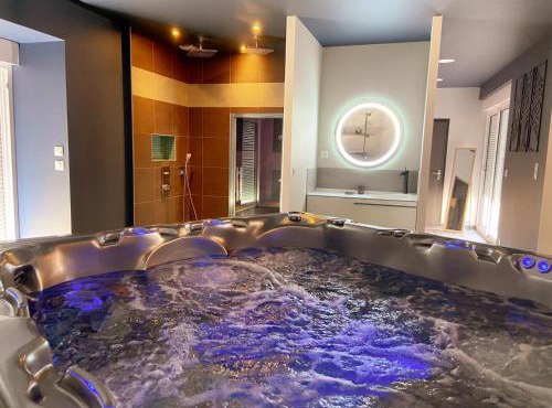 Loft industriel avec Spa, Sauna et Hammam en Touraine – Jardin clos et équipements haut de gamme - FR-1-381-559