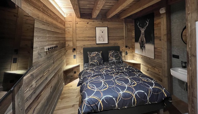 Luxury apartment Arêches