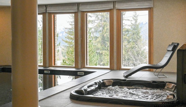 Luxury chalet with relaxation area for 10 people