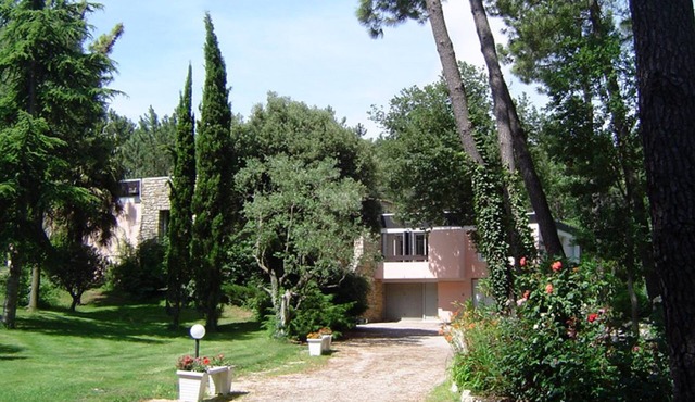Magnificent architect-designed pool house and large swimming pool in wooded grounds