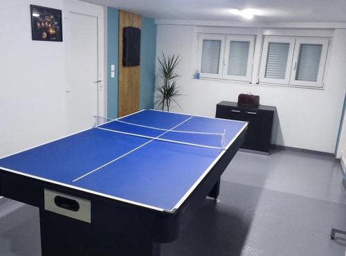 maison tout confort avec 2 appartements séparés ou associés , salle de jeux et grande terrasse