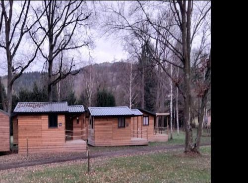 Mobil-home accueillant animaux - 4 pers. - API-1-52-2616